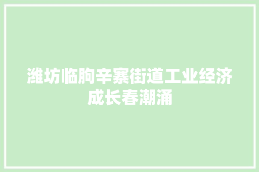 潍坊临朐辛寨街道工业经济成长春潮涌