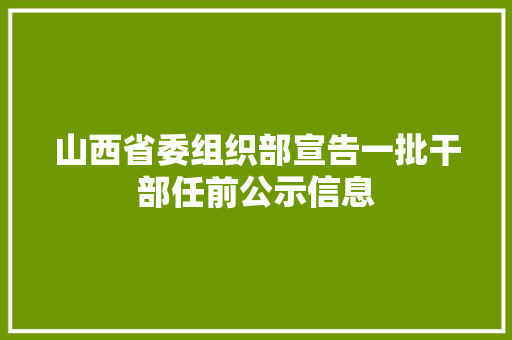 山西省委组织部宣告一批干部任前公示信息