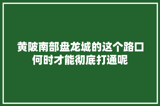 黄陂南部盘龙城的这个路口何时才能彻底打通呢