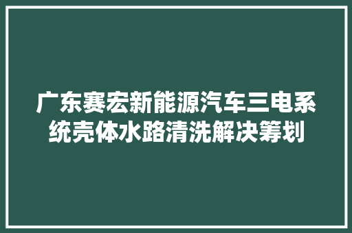 广东赛宏新能源汽车三电系统壳体水路清洗解决筹划