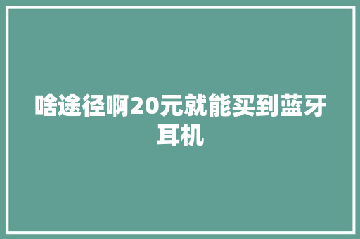 啥途径啊20元就能买到蓝牙耳机