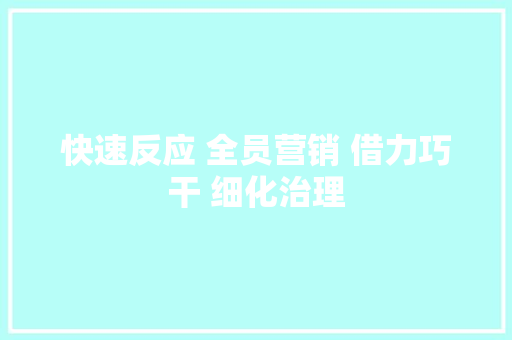 快速反应 全员营销 借力巧干 细化治理