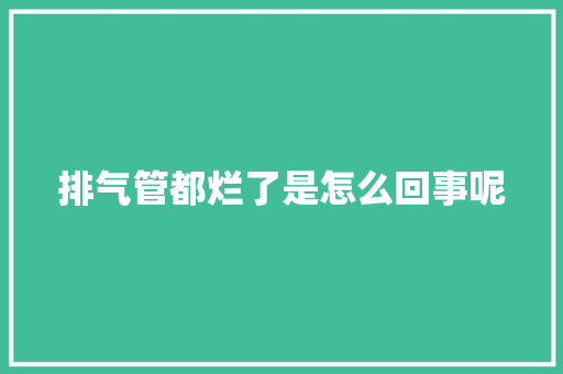 排气管都烂了是怎么回事呢