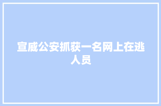 宣威公安抓获一名网上在逃人员