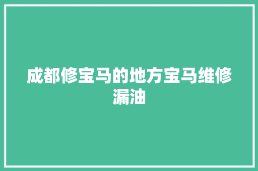 成都修宝马的地方宝马维修漏油