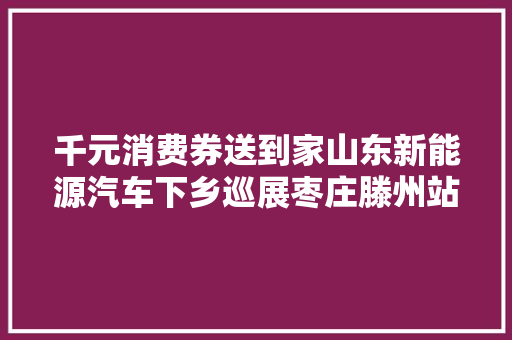 千元消费券送到家山东新能源汽车下乡巡展枣庄滕州站即将开幕