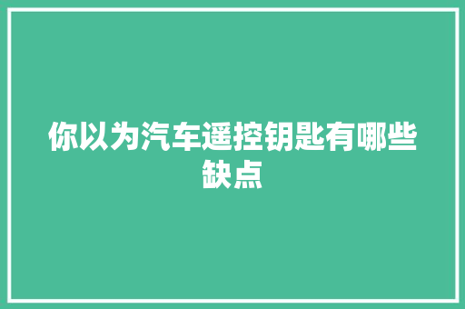 你以为汽车遥控钥匙有哪些缺点