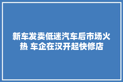 新车发卖低迷汽车后市场火热 车企在汉开起快修店