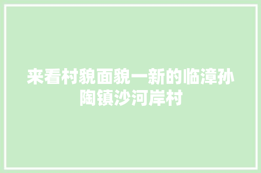 来看村貌面貌一新的临漳孙陶镇沙河岸村