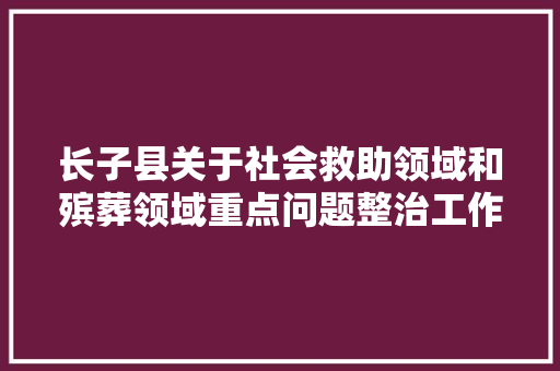 长子县关于社会救助领域和殡葬领域重点问题整治工作监督反响办法的通知书记