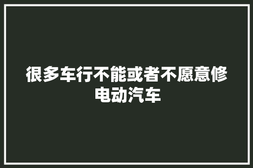 很多车行不能或者不愿意修电动汽车