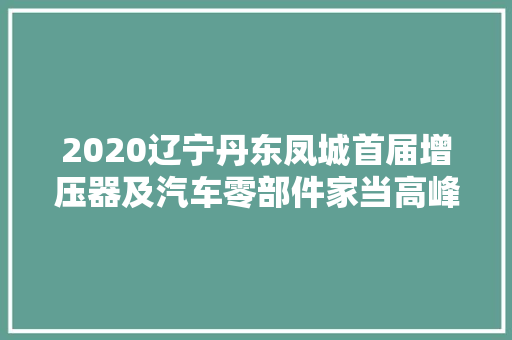 2020辽宁丹东凤城首届增压器及汽车零部件家当高峰论坛举行