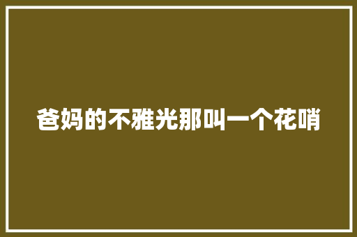 爸妈的不雅光那叫一个花哨