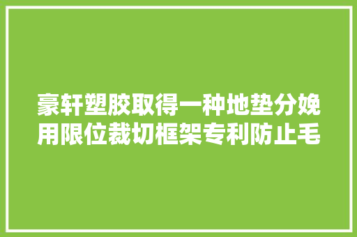 豪轩塑胶取得一种地垫分娩用限位裁切框架专利防止毛边的出现
