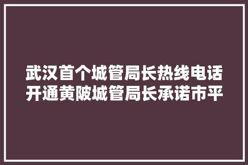 武汉首个城管局长热线电话开通黄陂城管局长承诺市平易近投诉均由本人来督办