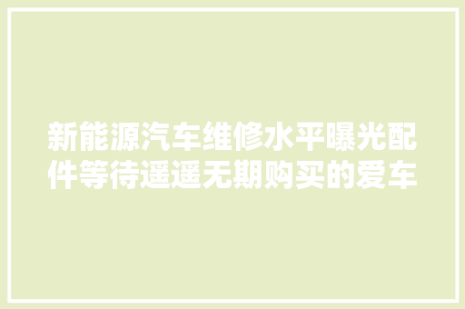 新能源汽车维修水平曝光配件等待遥遥无期购买的爱车只能空置