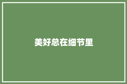 美好总在细节里