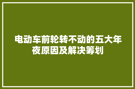 电动车前轮转不动的五大年夜原因及解决筹划