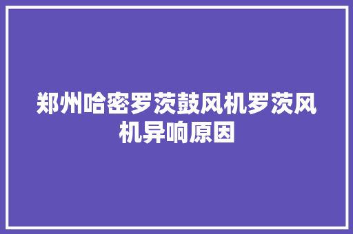 郑州哈密罗茨鼓风机罗茨风机异响原因