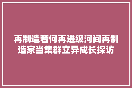 再制造若何再进级河间再制造家当集群立异成长探访