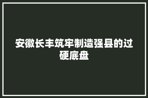 安徽长丰筑牢制造强县的过硬底盘