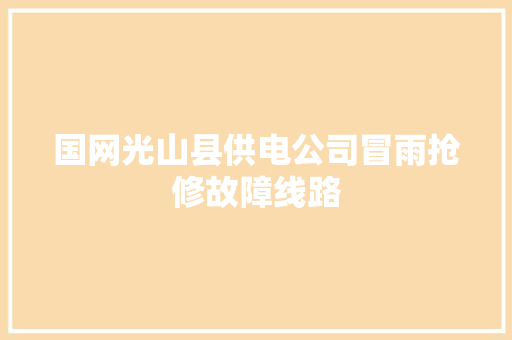 国网光山县供电公司冒雨抢修故障线路