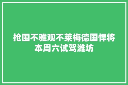 抢围不雅观不莱梅德国悍将本周六试驾潍坊