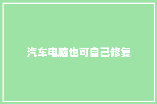 汽车电脑也可自己修复