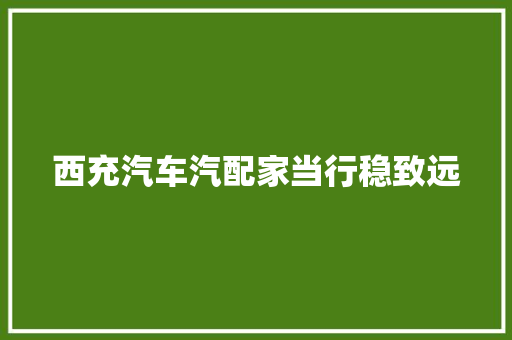 西充汽车汽配家当行稳致远