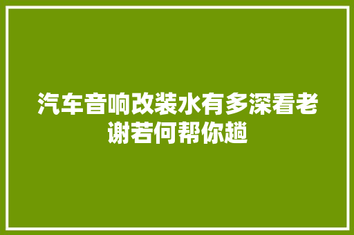 汽车音响改装水有多深看老谢若何帮你趟