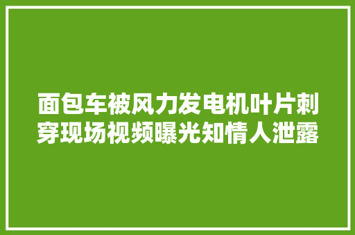 面包车被风力发电机叶片刺穿现场视频曝光知情人泄露细节
