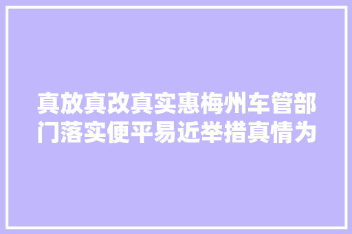 真放真改真实惠梅州车管部门落实便平易近举措真情为平易近做事