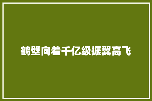 鹤壁向着千亿级振翼高飞