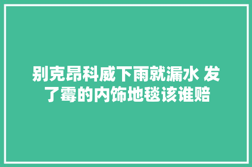 别克昂科威下雨就漏水 发了霉的内饰地毯该谁赔