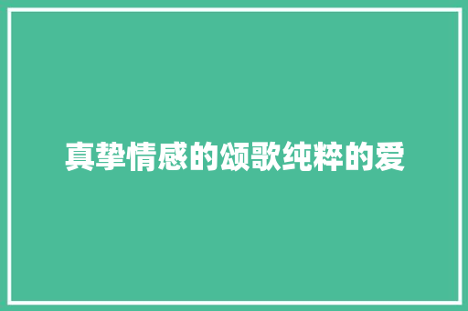 真挚情感的颂歌纯粹的爱