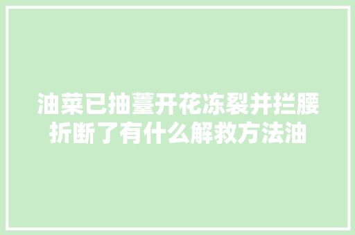 油菜已抽薹开花冻裂并拦腰折断了有什么解救方法油