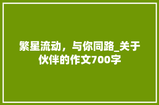 繁星流动，与你同路_关于伙伴的作文700字