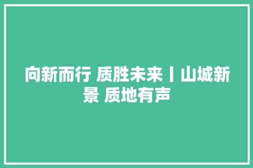 向新而行 质胜未来丨山城新景 质地有声