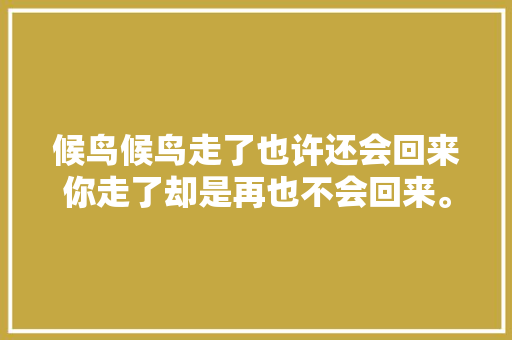 候鸟候鸟走了也许还会回来你走了却是再也不会回来。​