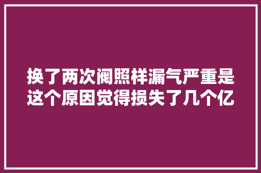 换了两次阀照样漏气严重是这个原因觉得损失了几个亿