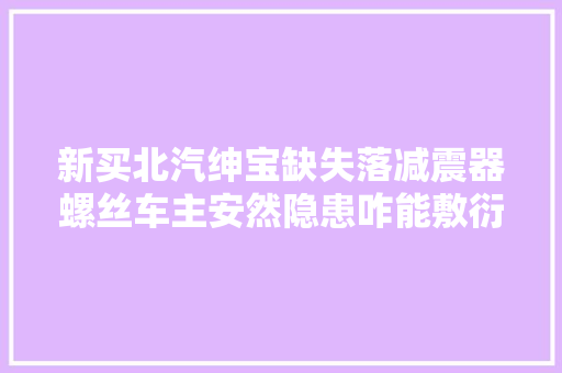 新买北汽绅宝缺失落减震器螺丝车主安然隐患咋能敷衍