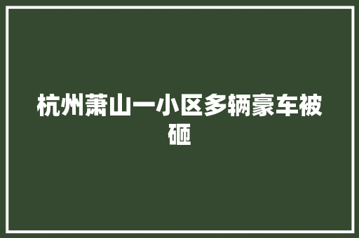 杭州萧山一小区多辆豪车被砸