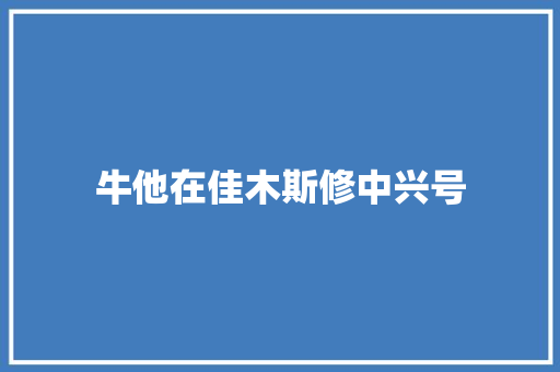 牛他在佳木斯修中兴号