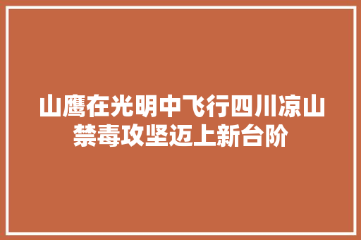 山鹰在光明中飞行四川凉山禁毒攻坚迈上新台阶