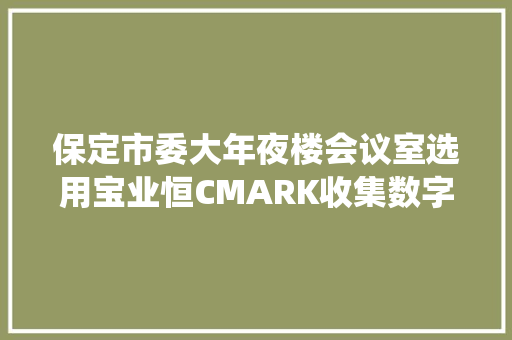保定市委大年夜楼会议室选用宝业恒CMARK收集数字扩声系统