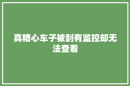 真糟心车子被刮有监控却无法查看