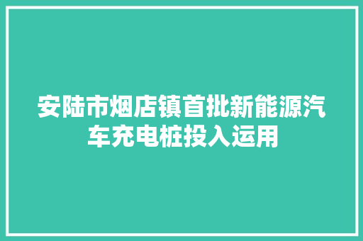 安陆市烟店镇首批新能源汽车充电桩投入运用