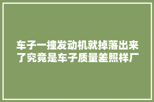 车子一撞发动机就掉落出来了究竟是车子质量差照样厂家偷工减料