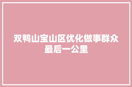 双鸭山宝山区优化做事群众最后一公里