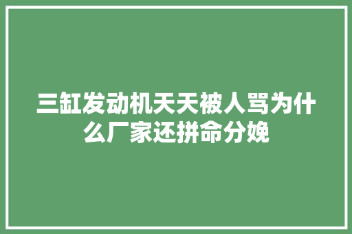 三缸发动机天天被人骂为什么厂家还拼命分娩